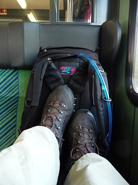 P1000696.jpg