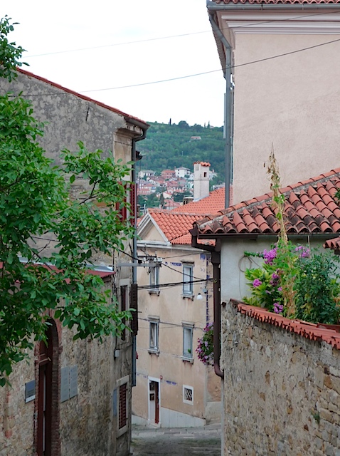 P1000754.jpg