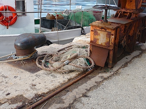 P1000825.JPG