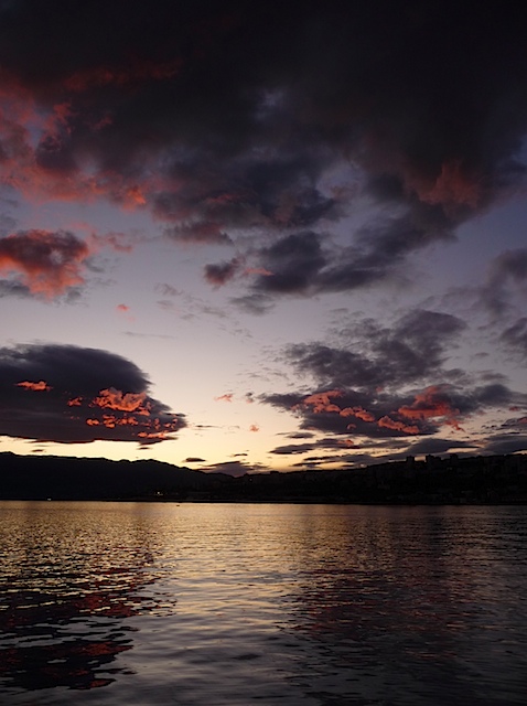 P1000876.jpg