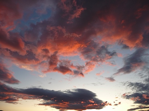 P1000877.JPG